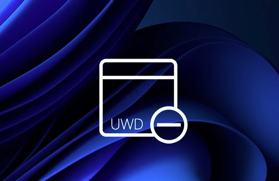 去除Windows 10/11桌面右下角水印 免费绿色工具UWD